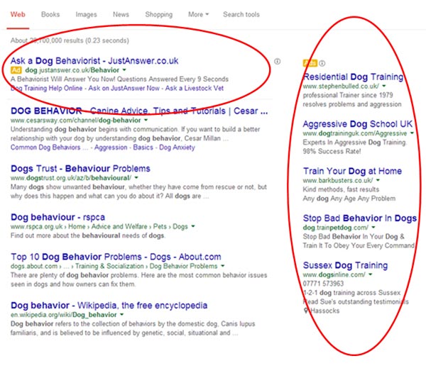 google ads ppc campaign